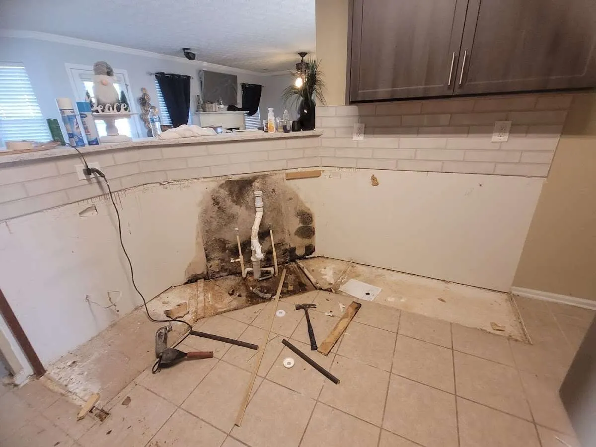 Mold behind wall with plumbing during Flood Damage Cleanup in Palm Beach